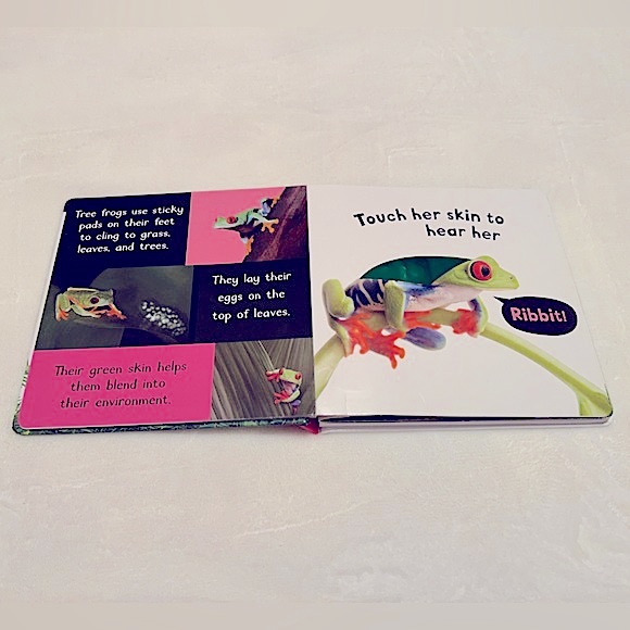 Noisy Animals My First Touch and Feel Sound Book - Picture 5 of 9